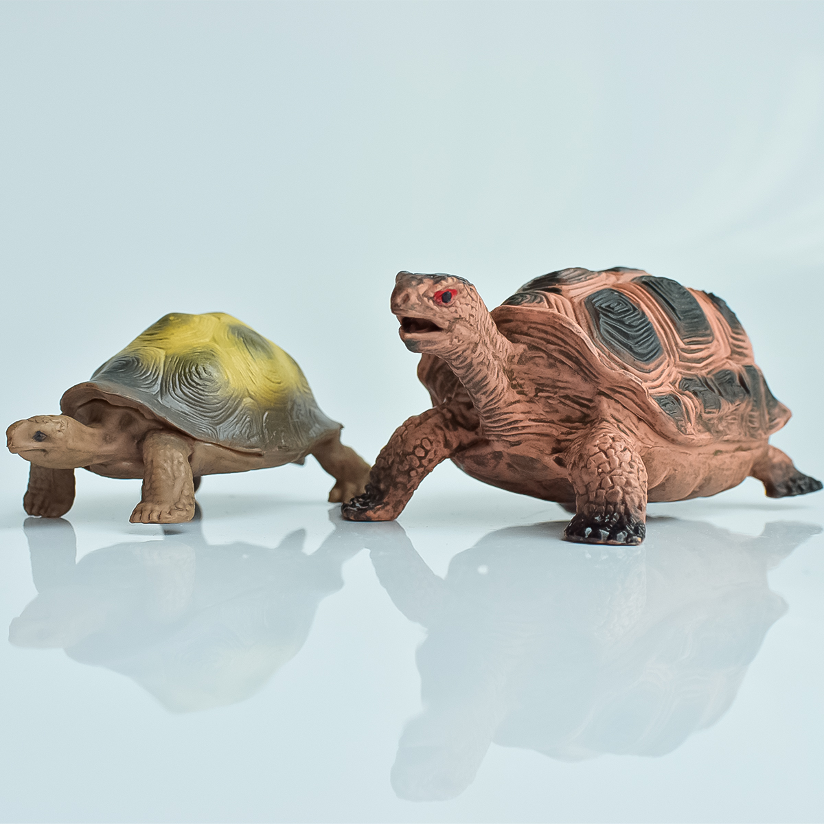 Painted Realistic Animal Turtl - Desk Setup Plants recension och pris
