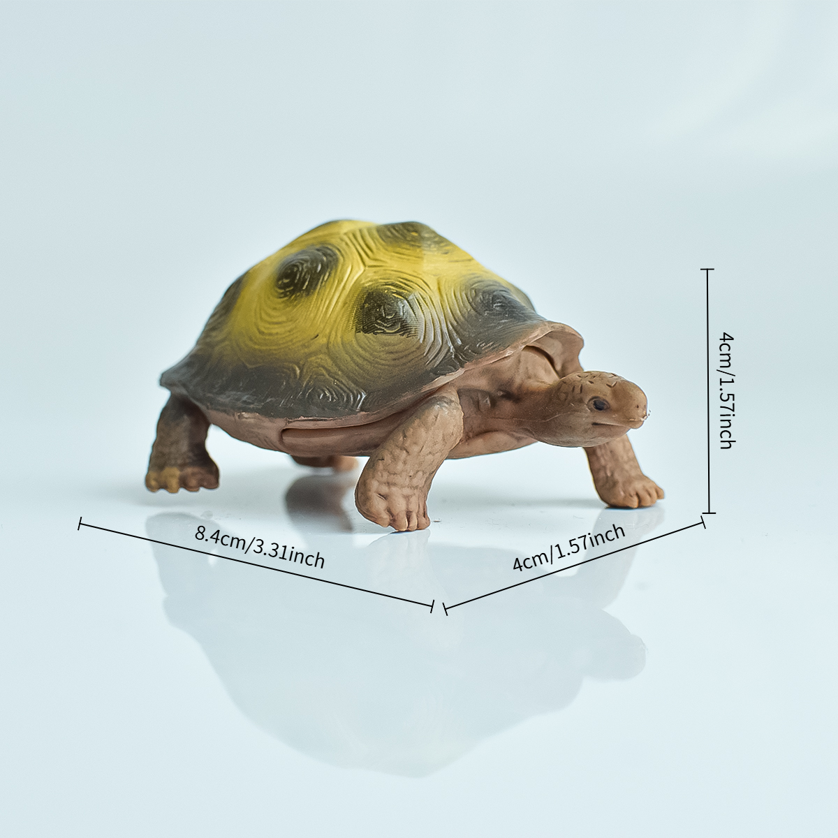 Painted Realistic Animal Turtl - Desk Setup Plants recension och pris