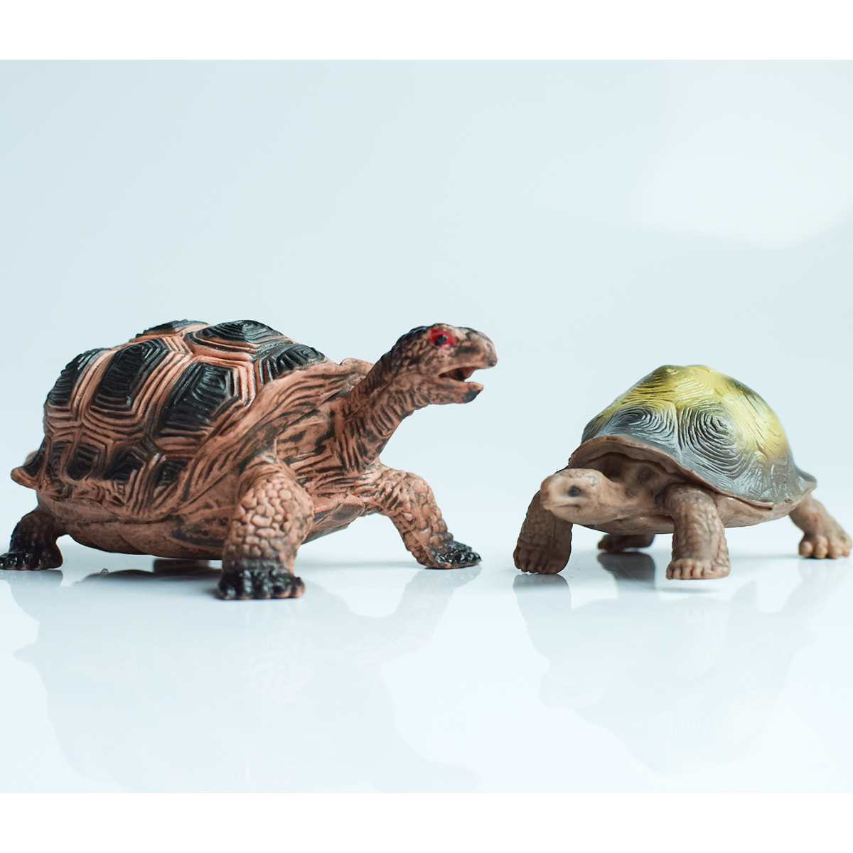 Painted Realistic Animal Turtl - Desk Setup Plants recension och pris