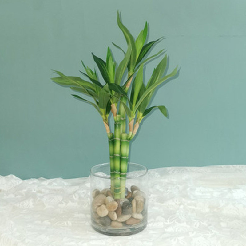 New 40cm rFtificial Lucky Bamb - Desk Setup Plants recension och pris