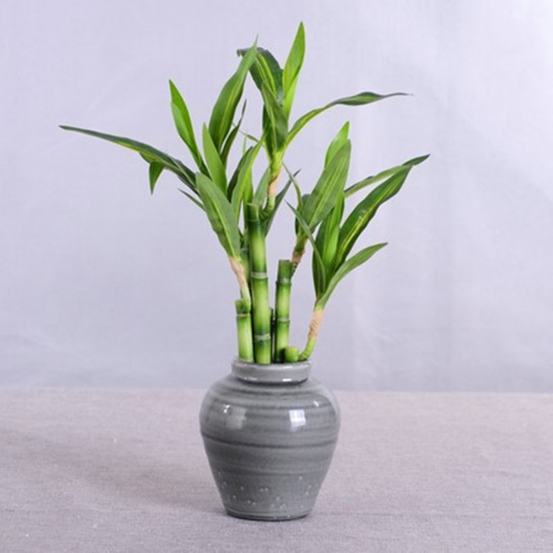 New 40cm rFtificial Lucky Bamb - Desk Setup Plants recension och pris
