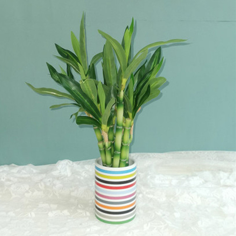 New 40cm rFtificial Lucky Bamb - Desk Setup Plants recension och pris