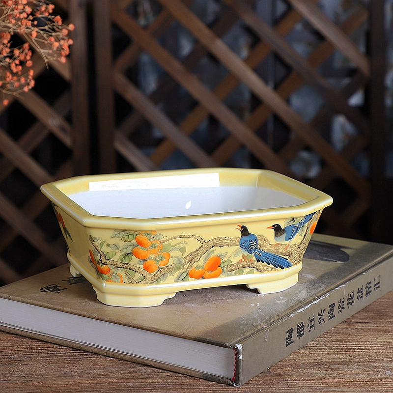 Porcelain Rectangle Bonsai Pot - Desk Setup Green recension och pris