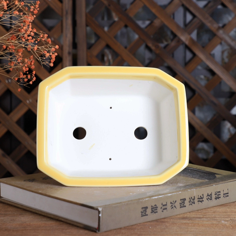 Porcelain Rectangle Bonsai Pot - Desk Setup Green recension och pris
